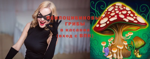 прущий лед Кукмор
