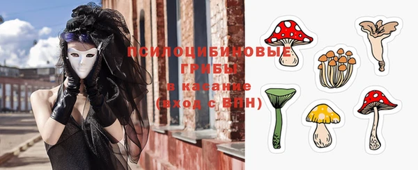 прущий лед Кукмор