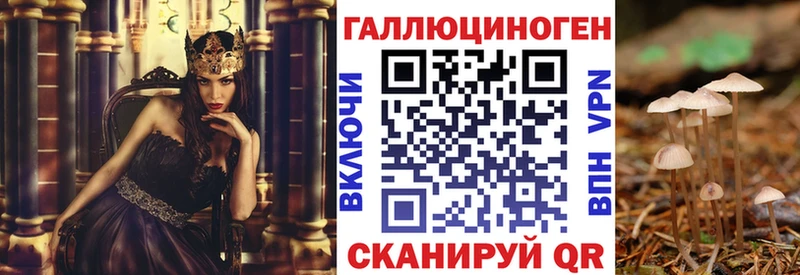 Псилоцибиновые грибы MAGIC MUSHROOMS  продажа наркотиков  Лиски 