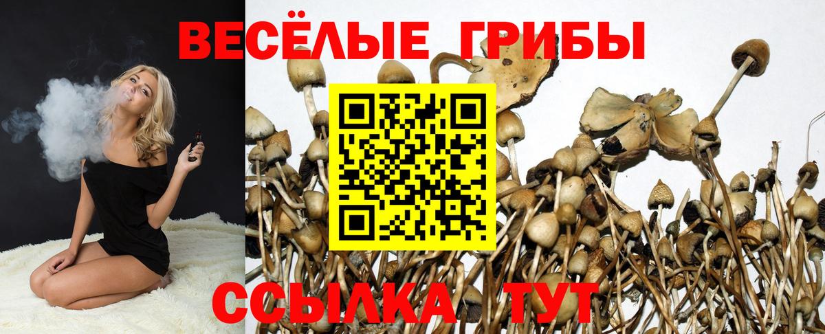 Галлюциногенные грибы Psilocybe  как найти наркотики  Псилоцибиновые грибы Magic Shrooms  Лиски  Вход с VPN 