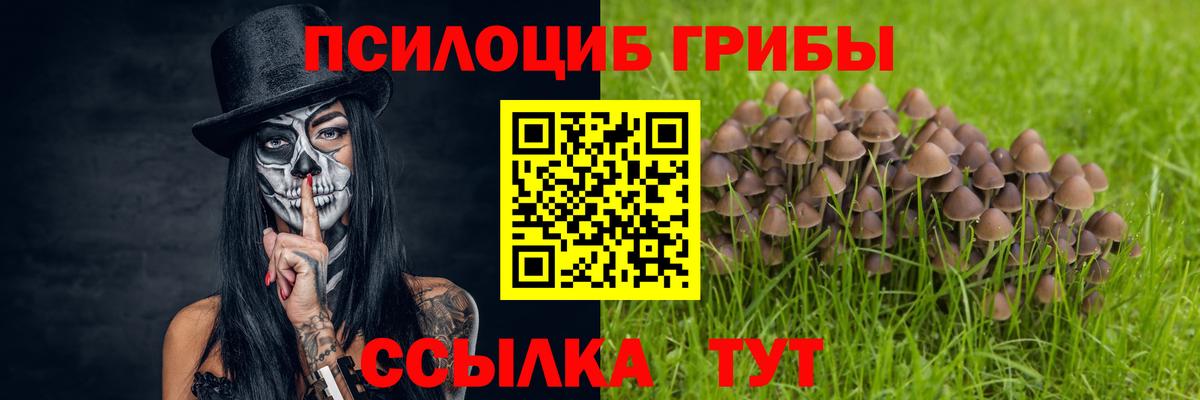 Псилоцибиновые грибы MAGIC MUSHROOMS Лиски