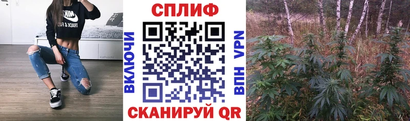 Канабис Amnesia мега маркетплейс Лиски